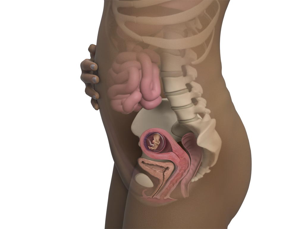 Image of a woman and her baby at 12 weeks of pregnancy.